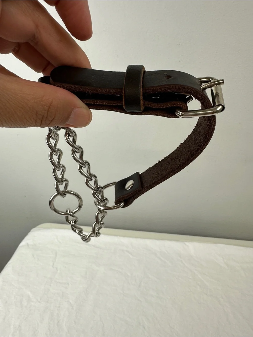 NWOT Mighty Paw Leather Martingale Dog Collar, Medium